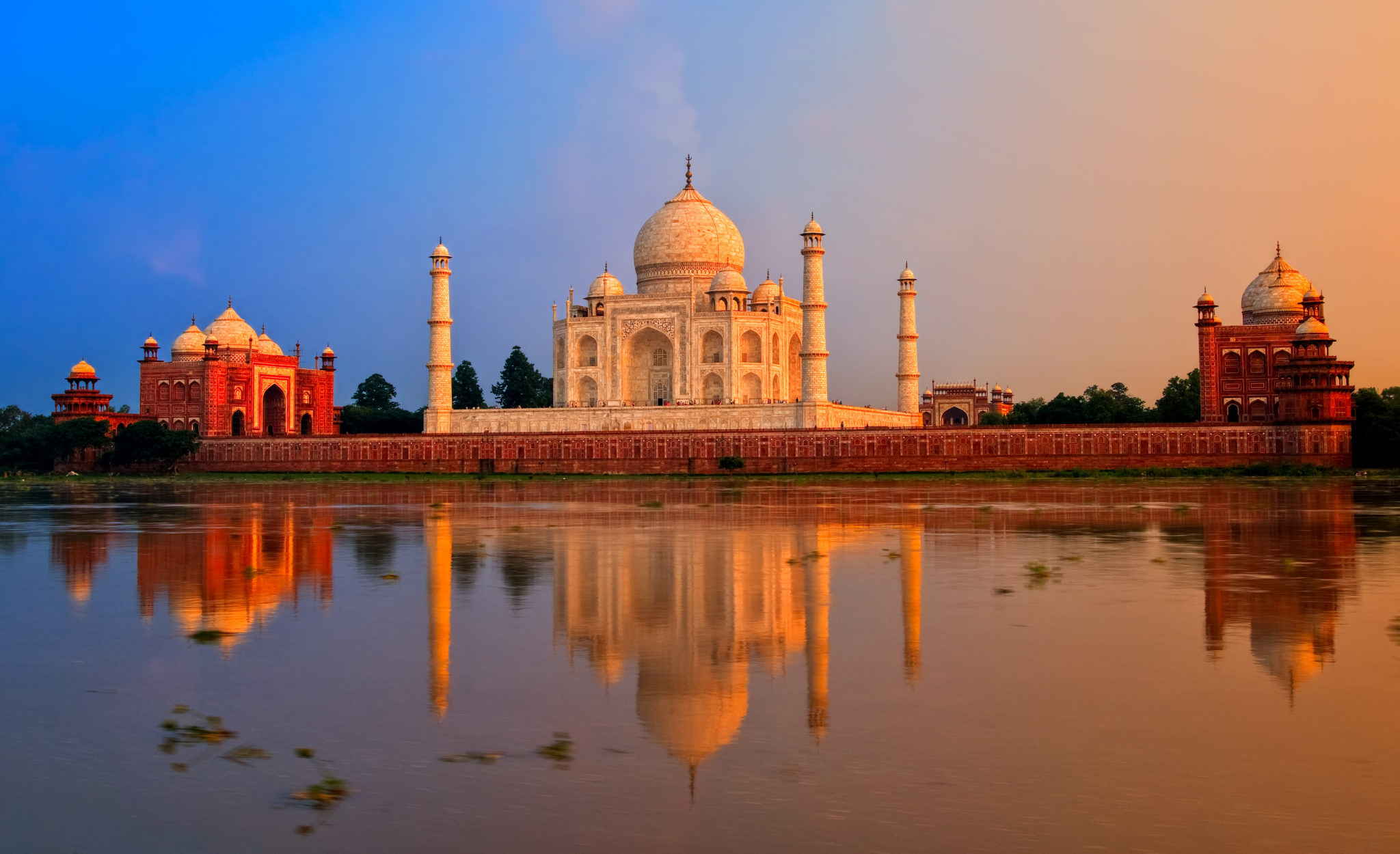 Hindi To English Translation Services All Language Alliance Hindi To English Translation Services All Language Alliance