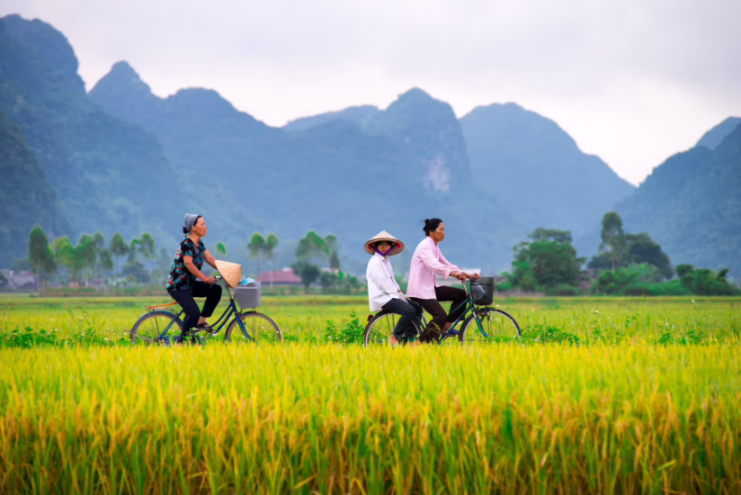 Vietnamese Translation & Vietnamese Interpreter Services