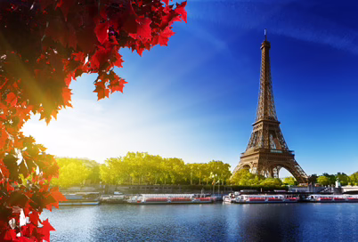 French Genealogy; French Translation & French Interpreter Services