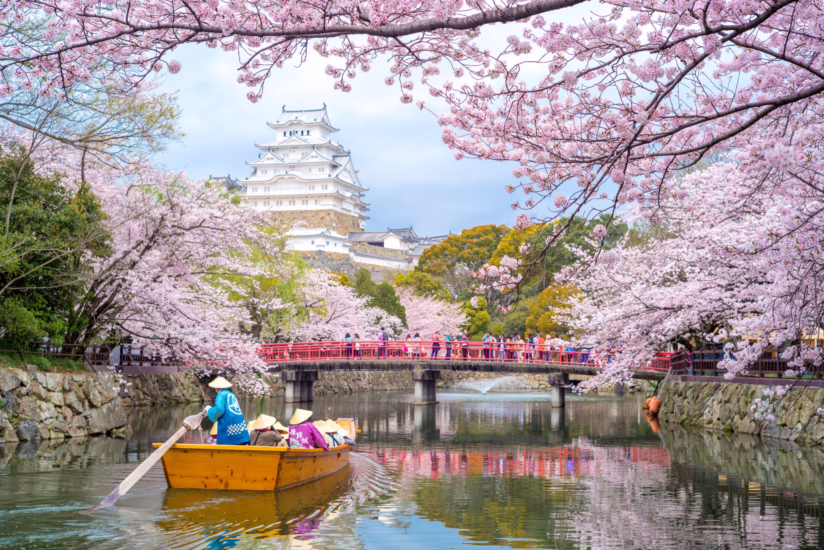 Japanese Translation & Japanese Interpreter Services