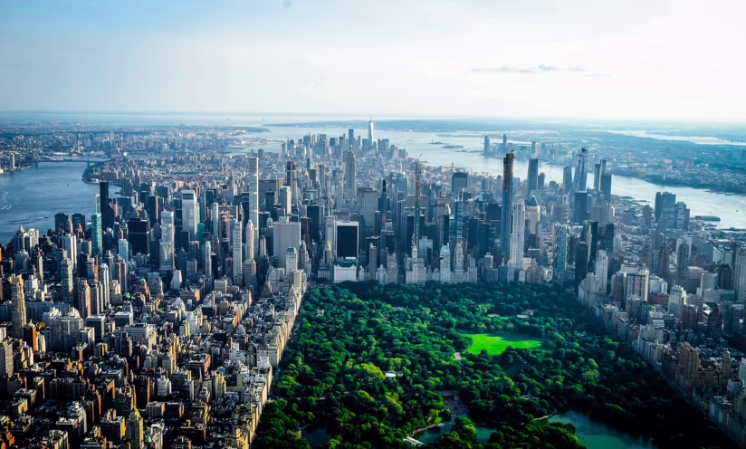 Polish Probate Genealogy Research for New York Surrogate’s Court Cases