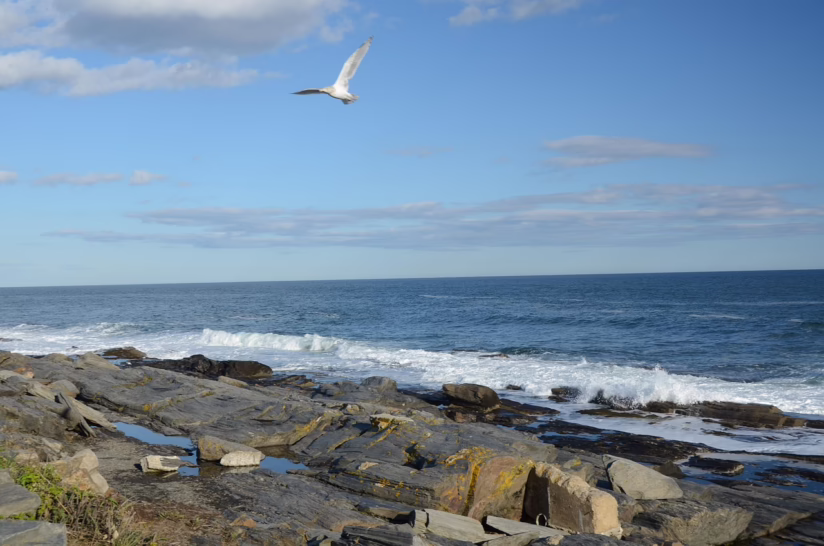 How Handwritten Real Estate Records Decided a Maine Beach Battle